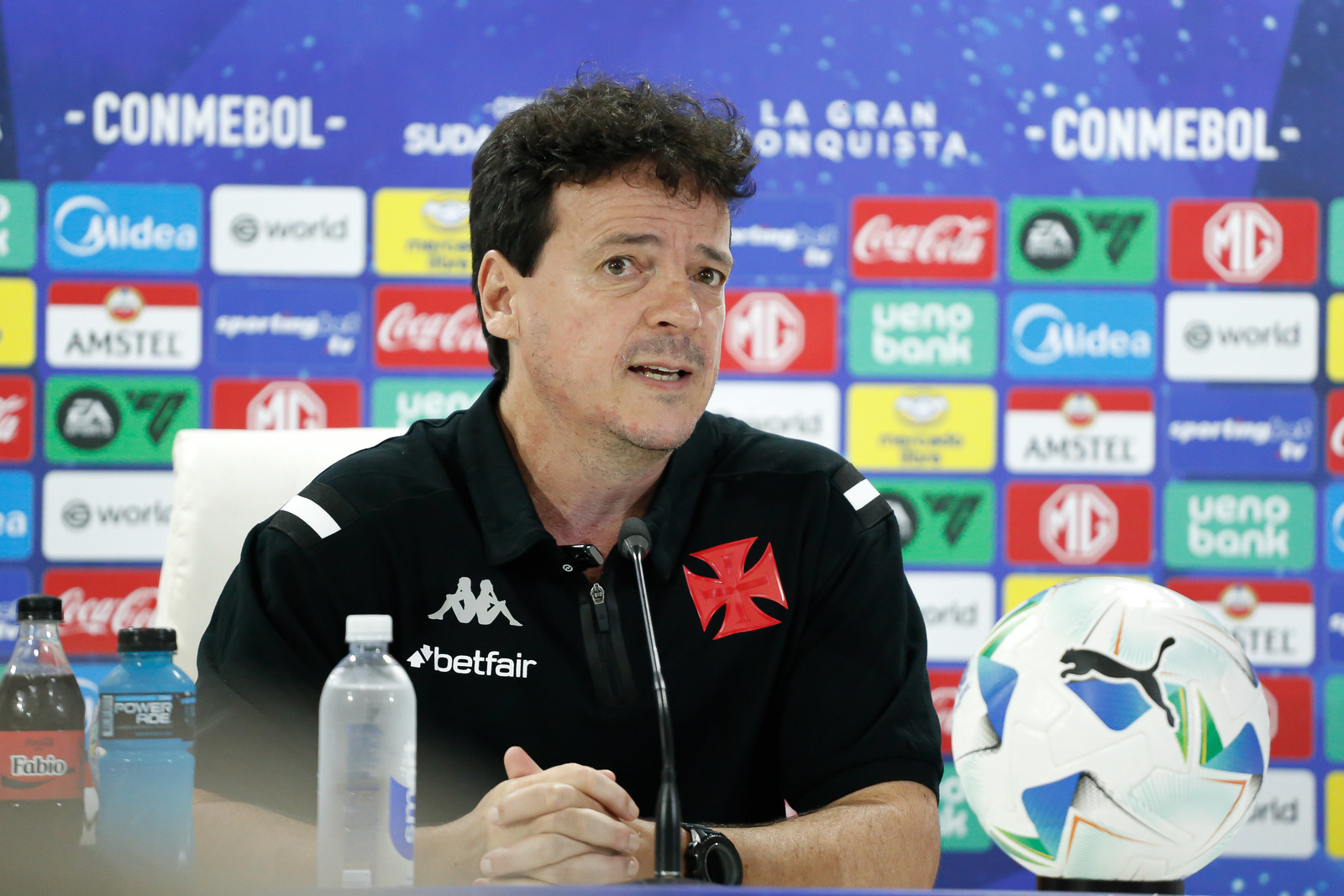 Fernando Diniz reconhece risco de queda, mas confia na reação do Vasco - Imagem do artigo