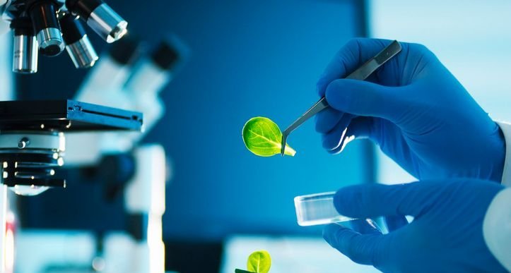 Cinco aplicações da biotecnologia que já fazem parte da rotina dos brasileiros - Imagem do artigo original