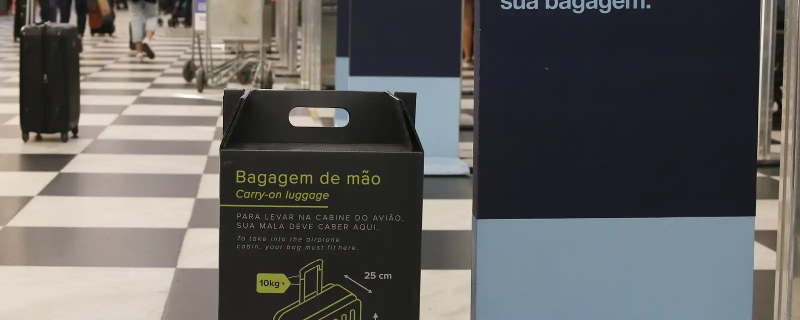 Gratuidade de bagagem de mão: Senado aprova projeto - Imagem do artigo